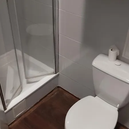 Bluestars Family Apartment Karlovy Vary