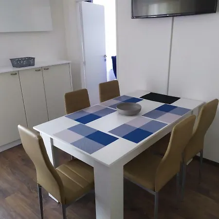 Bluestars Family * קרלובי וארי